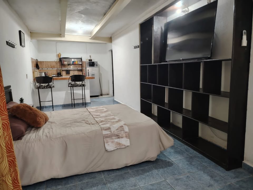 Departamento 1 recámara en Mariano Matamoros - foto 4