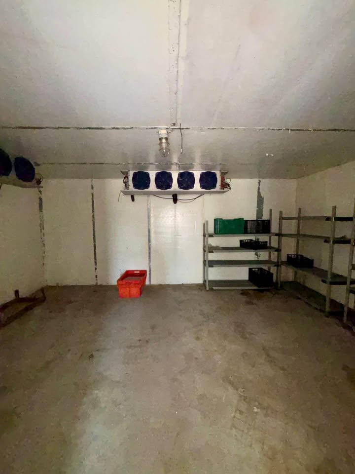 Bodega 70m², cámara fría, El Medano Ejidal - foto 4