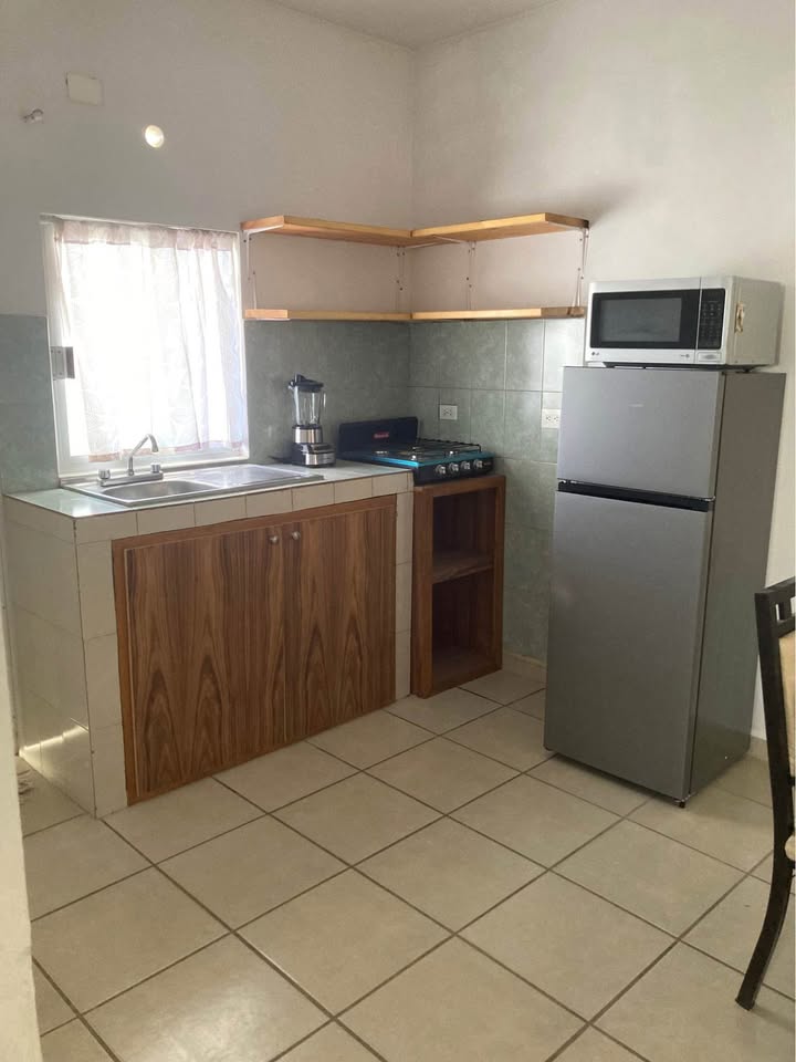 Depa 2 recámaras, 1 baño, Tesoro Residencial - foto 4