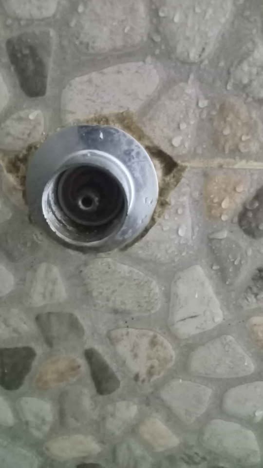 Dos estudios, Ampliación Mariano Matamoros, $3500–$4200 - foto 4