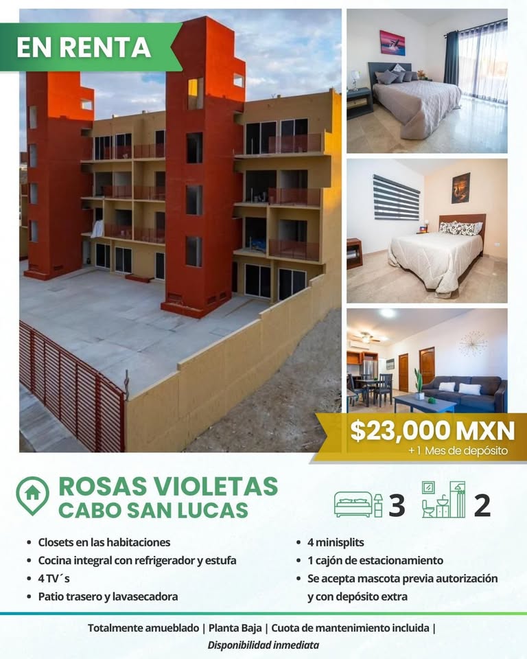 Depa amueblado 2 recámaras, Terranova - foto 4
